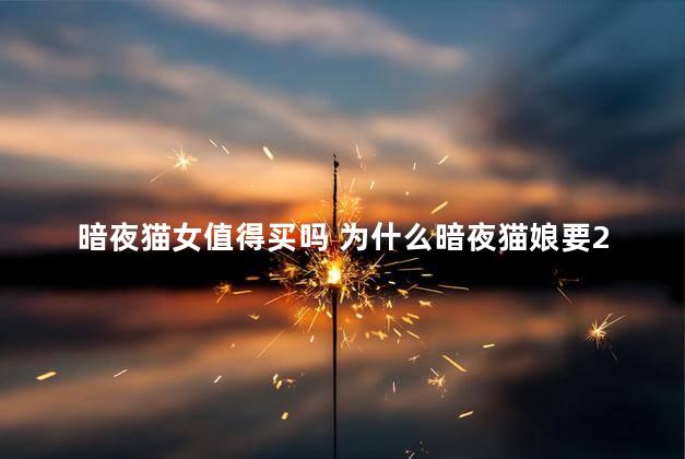暗夜猫女值得买吗 为什么暗夜猫娘要2888